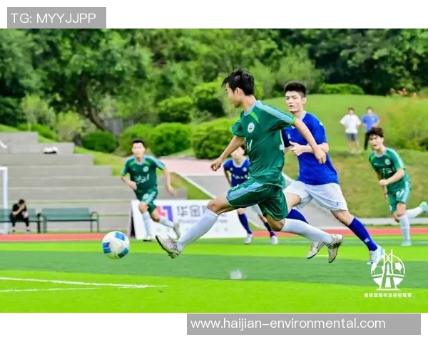 犀鸟足球：探索足球文化与激情的完美结合之旅