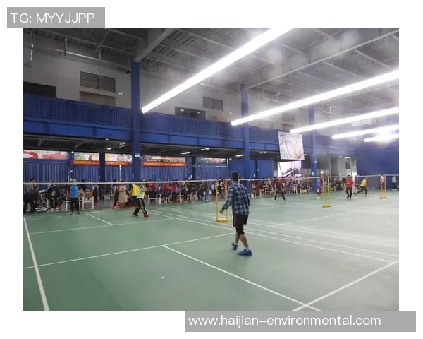 羽毛球的魅力与技巧揭秘：深入北京羽毛球队的训练与战术分析